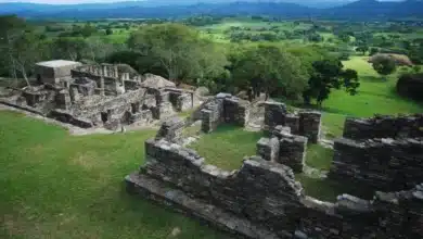 sheinbaum decreta expropiación de más de 9 hectáreas en toniná para fortalecer el patrimonio arqueológico