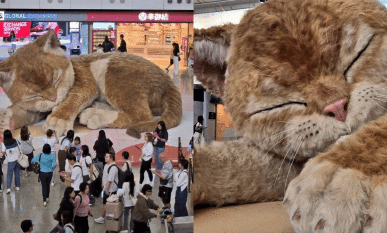 VIDEO “A Moment to Purr” la escultura gigante “Catzilla” que se mueve sorprende en el aeropuerto de Hong Kong