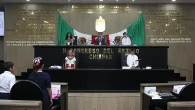 Niñas y niños participan en el segundo parlamento infantil 2026 (Foto de cortesía)