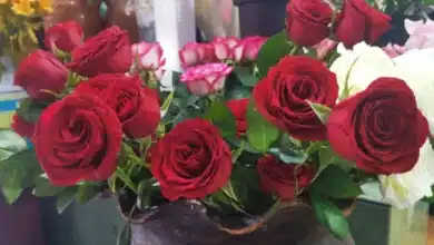 Aumentan hasta 70% las ventas de flores por el Día de las Madres