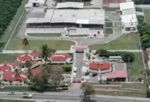 avanza planta de moscas estériles en chiapas para erradicar el gusano barrenador