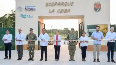 Claudia Sheinbaum inaugura el Ecoparque “La Ceiba” en Palenque