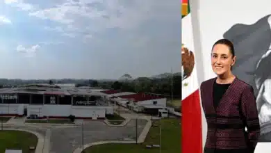 Claudia Sheinbaum inaugurará planta contra el gusano barrenador en Chiapas