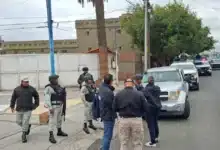 conapesca refuerza operativos contra el contrabando de camarón en chiapas