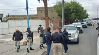 conapesca refuerza operativos contra el contrabando de camarón en chiapas