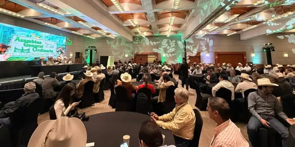 Convención Nacional Ganadera 2027 se llevará a cabo en Chiapas