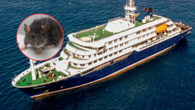 Crucero con brote de hantavirus se dirige a Islas Canarias bajo vigilancia sanitaria
