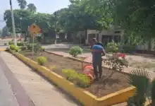 Darán mantenimiento integral y limpieza al andador victórico en Chiapa de Corzo