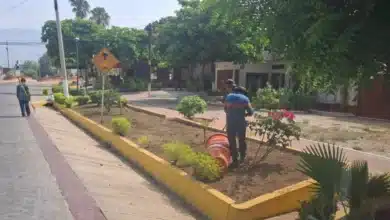 Darán mantenimiento integral y limpieza al andador victórico en Chiapa de Corzo