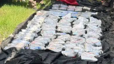 Decomisan arsenal y sustancias prohibidas durante operativo en Tapachula
