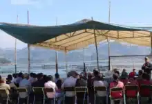 Del 15 de mayo al 15 de julio se aplicará en Chiapas la veda de la liseta