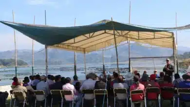 Del 15 de mayo al 15 de julio se aplicará en Chiapas la veda de la liseta