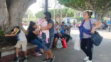 En Chiapas, el 71.5% de las mujeres de 15 años y más son madres