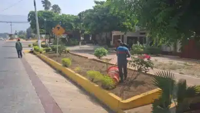 Limpieza del emblemático andador Victórico (Foto de Nayeli Mijangos)