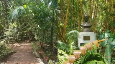 Jardín Botánico “Dr. Faustino Miranda” (Foto de Nayeli Mijangos)