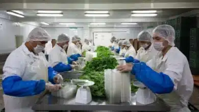 más de 134 mdp serán destinados a chiapas para el psia 2026