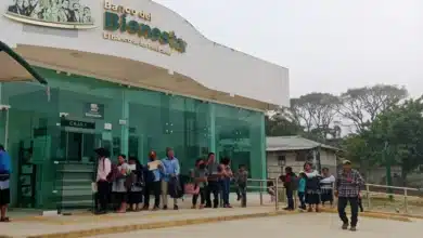 millonario apoyo del bienestar a chiapas