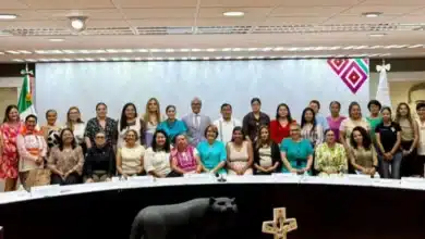 participa comitán en la sesión del consejo estatal para garantizar el derecho de las mujeres a una vida libre de violencia