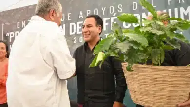 productores de café en tapachula reciben apoyos para fortalecer la cafeticultura