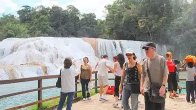 Chiapas, entre los más seguros de la República