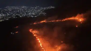 Chiapas entre los estados con mayor superficie afectada por incendios