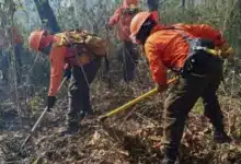Multas de hasta 5 millones de pesos y cárcel: Chiapas para quienes provoquen incendios