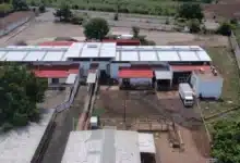 Profepa clausura rastro municipal de Tapachula por contaminación