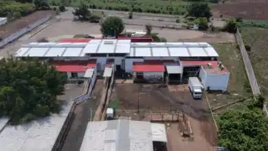 Profepa clausura rastro municipal de Tapachula por contaminación