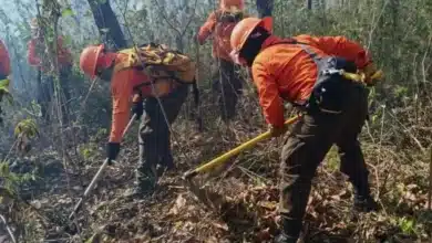 Multas de hasta 5 millones de pesos y cárcel: Chiapas para quienes provoquen incendios
