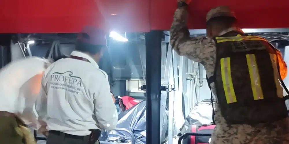 refuerzan operativos contra tráfico de fauna en chiapas