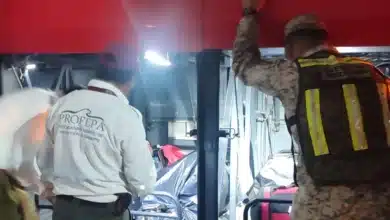 refuerzan operativos contra tráfico de fauna en chiapas