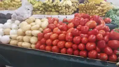 sube el jitomate, la papa, el aguacate y el pollo; baja el huevo