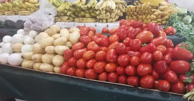 sube el jitomate, la papa, el aguacate y el pollo; baja el huevo