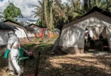 brote de Ébola en el congo suman 116 fallecidos y declaran emergencia internacional
