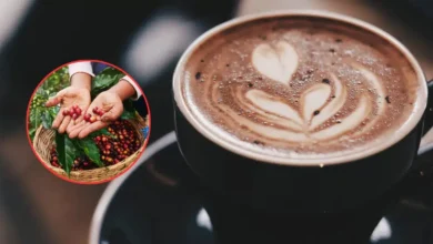 café de veracruz origen, tradición y el sabor que conquistó a méxico
