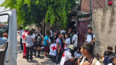 cuautla morelos abejas atacan a 100 personas en telesecundaria