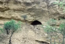 cueva del maíz el sitio arqueológico donde nació la historia del maíz en méxico