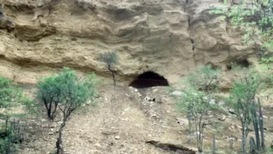 cueva del maíz el sitio arqueológico donde nació la historia del maíz en méxico