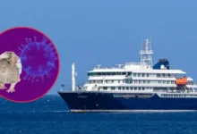 "Esto no es otra Covid": director de la OMS sobre brote de hantavirus (Fotos de internet)