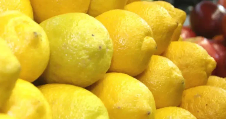 la lima, el cítrico aromático que sigue dando sabor a la cocina mexicana
