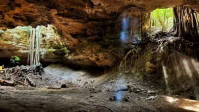 los cuarteles, la impresionante gruta de tamaulipas habitada por miles de murciélagos