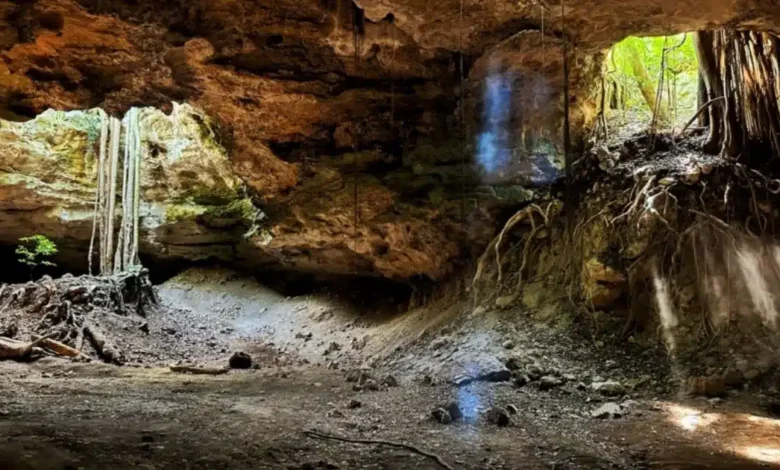 los cuarteles, la impresionante gruta de tamaulipas habitada por miles de murciélagos