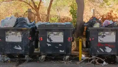 basura sepulta la gestión de torres