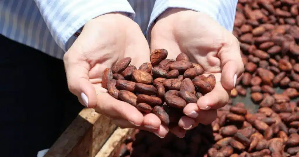 campo chiapaneco busca abrirse para en europa y consolidarse como motor económico estatal