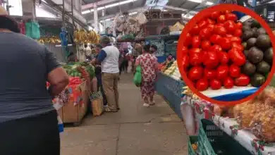 canasta básica en chipas mantiene presión al alza pese a bajas temporales en algunos productos