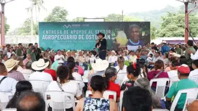 con inversión productiva y obra pública, refuerzan desarrollo en la región norte de chiapas
