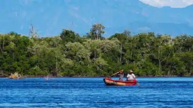 Reserva La Encrucijada (Foto de CONANP)