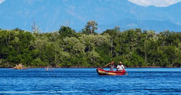 Reserva La Encrucijada (Foto de CONANP)