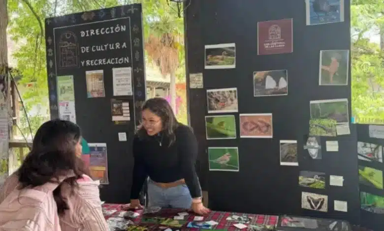 Festival Mexicano de la Serpientes busca fortalecer la conservación en San Cristóbal de Las Casas