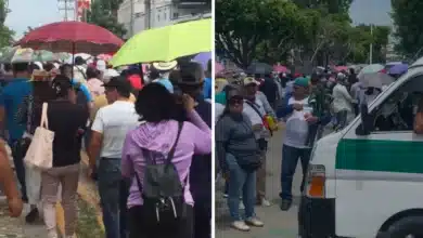 maestros marchan en tuxtla y advierten continuidad de protestas